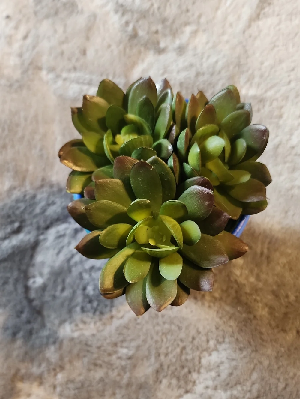Hand Painted Face Pot, with fake plants!